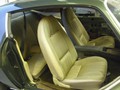 Interior-(1)