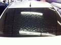 BeforeTint